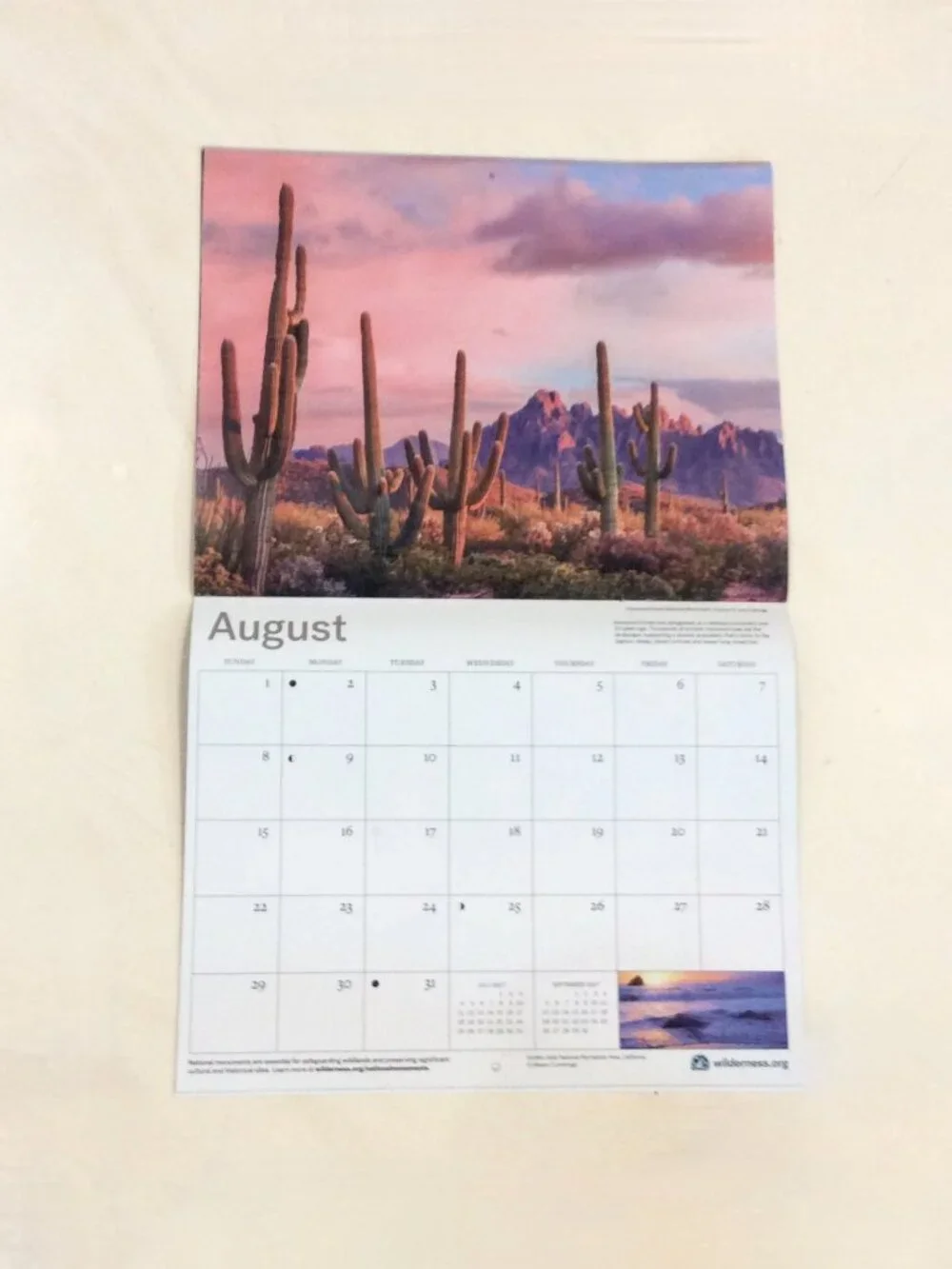 2027 The Wilderness Society 16-Month Wall Calendar Animals/Nature/Photography